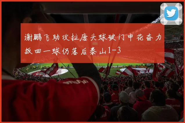 谢鹏飞助攻拉唐头球破门申花奋力扳回一球仍落后泰山1-3