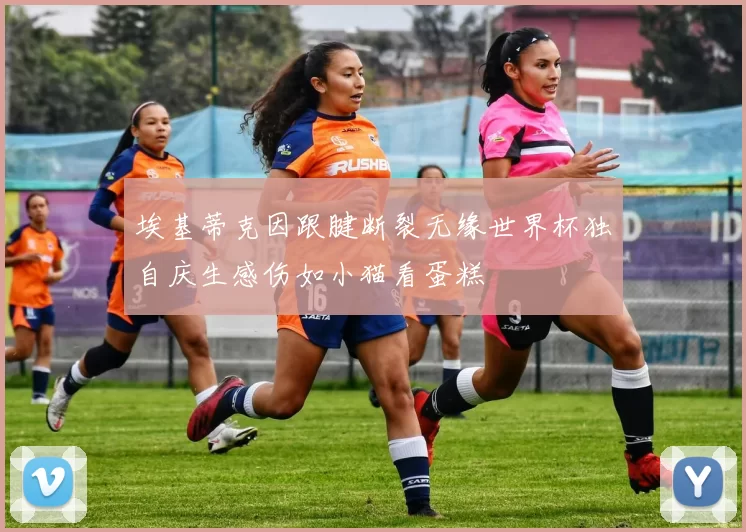 埃基蒂克因跟腱断裂无缘世界杯独自庆生感伤如小猫看蛋糕