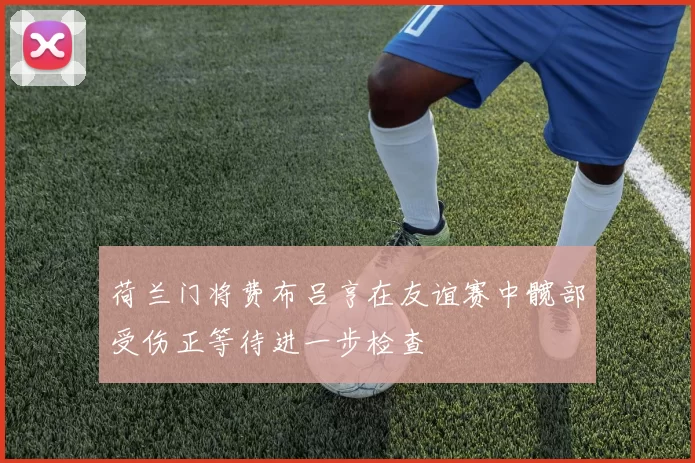 荷兰门将费布吕亨在友谊赛中髋部受伤正等待进一步检查